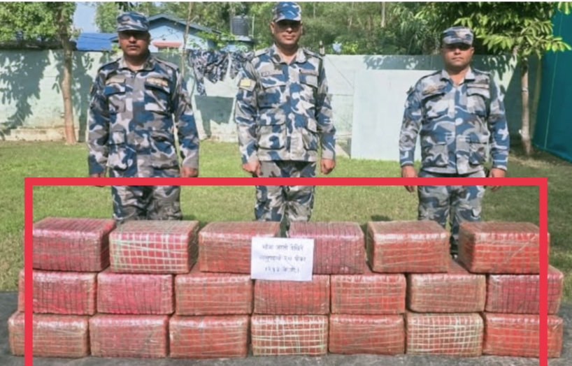 पर्सामा २१३ किलो गाँजा बरामद