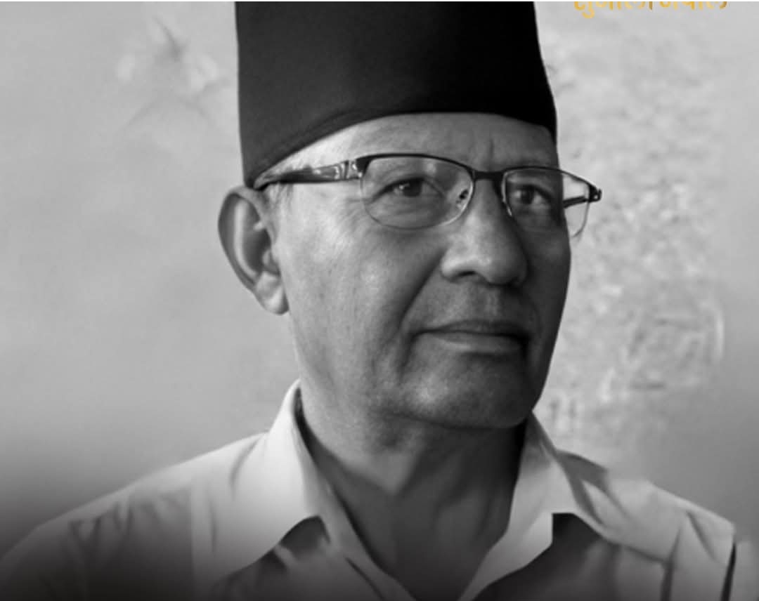 Websoft IT Nepal Pvt. Ltd.